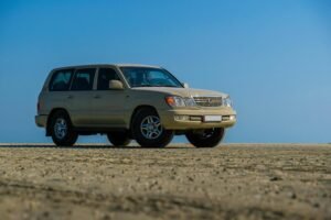 reliable stability online model